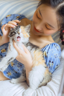 凡人修仙传动漫免费完整观看